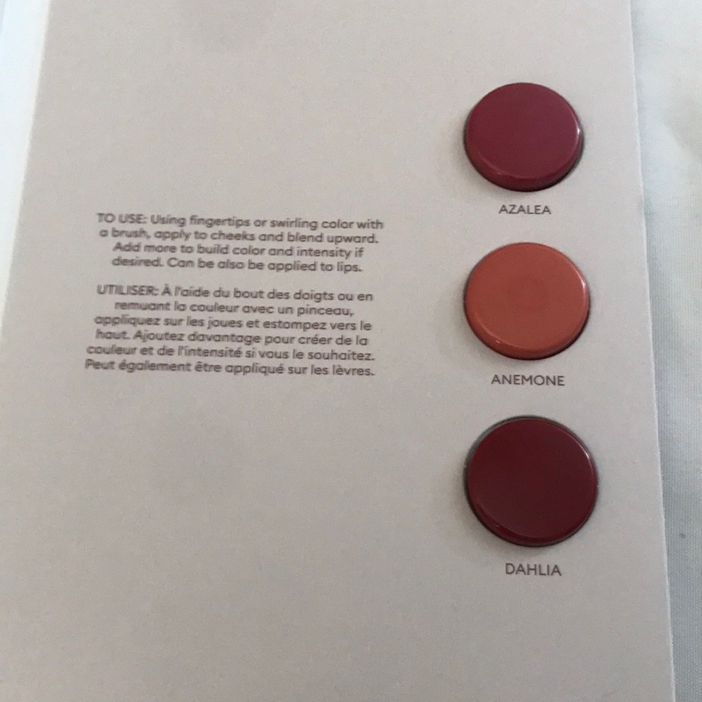 ⚡️FINAL PRICE⚡️ Rose Inc Blush Divine Lip & Cheek Color Sample Card